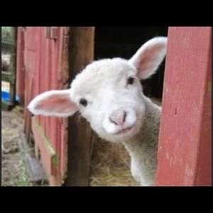 Meet your Posher, Mary